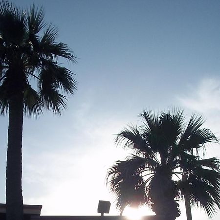 Whispering Palms Inn เดลริโอ ภายนอก รูปภาพ
